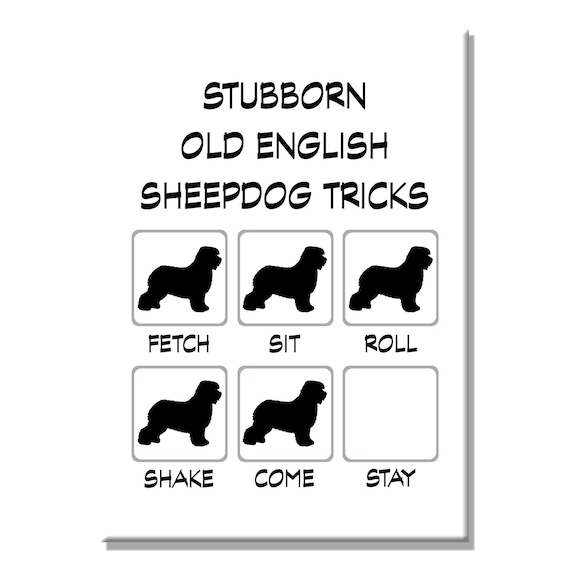 Old English Sheepdog Stubborn Tricks Fridge Magnet