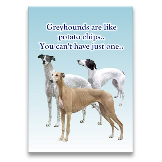 Greyhound Can't Have Just One Fridge Magnet