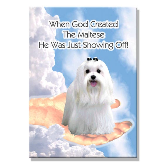 Maltese God Showing Off Fridge Magnet