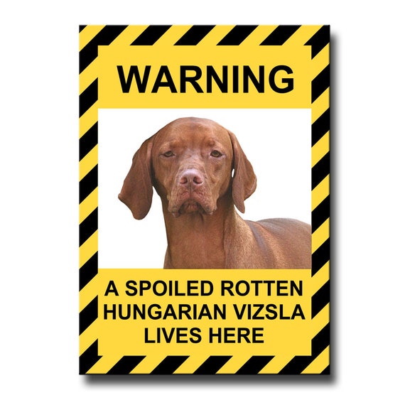 Funny Vizsla refrigerator magnet 2 1//2 x 3 1//2