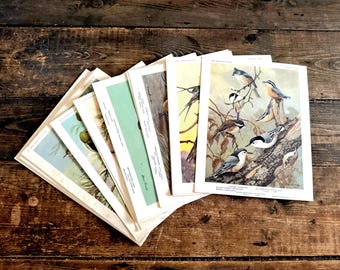 1934年出版の書籍『鳥の肖像（カラー版）』から24点を選りすぐった鳥の版画集。鳥好きへの贈り物に最適です。