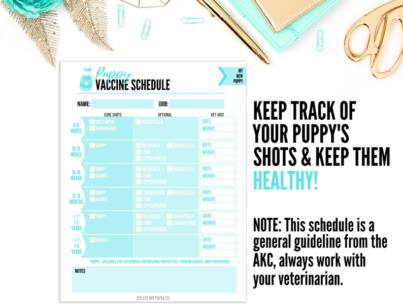 Dog Vaccine Schedule Printable