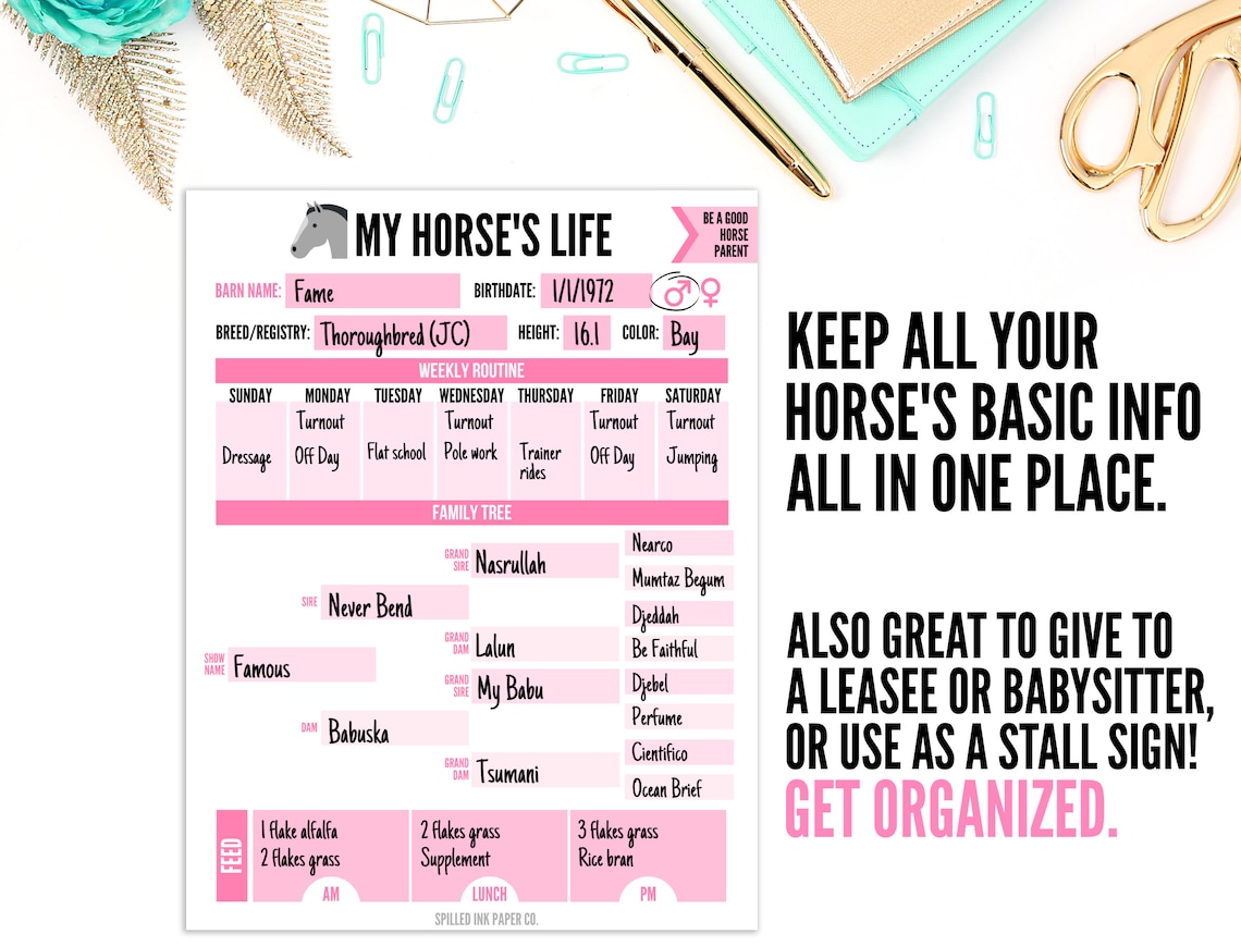 Printable Horse Info Sheet Printable Stall Sign Horse Management