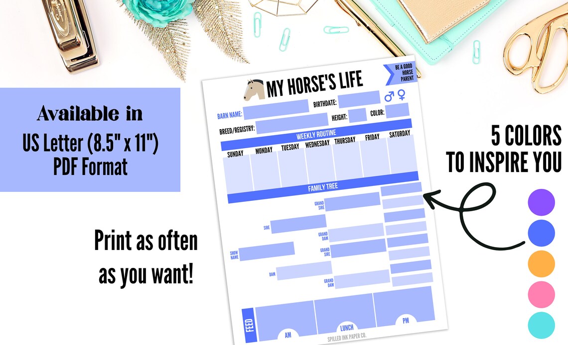 Printable Horse Info Sheet Printable Stall Sign Horse Management