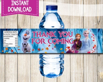 Frozen 2 Water Bottle Label, Instant Download, Frozen 2 Water Label Printable, Frozen 2 Water Bottle Label, Anna and Elsa