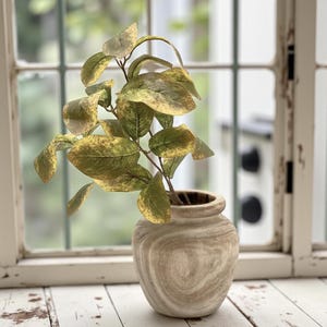 One Artificial Green/Yellow/Gold Leaf Stem Perfect for Fall or Anytime Decor, Material is Fabric/Plastic 21.5&quot; Tall, Vases, Pots, Farmhouse