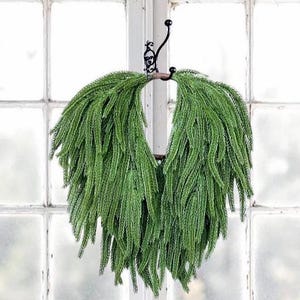 Real Touch Norfolk Pine Teardrop Swag - 16" Artificial Wreath - Mini Wreath - Cabinet Wreath - Chair Wreath