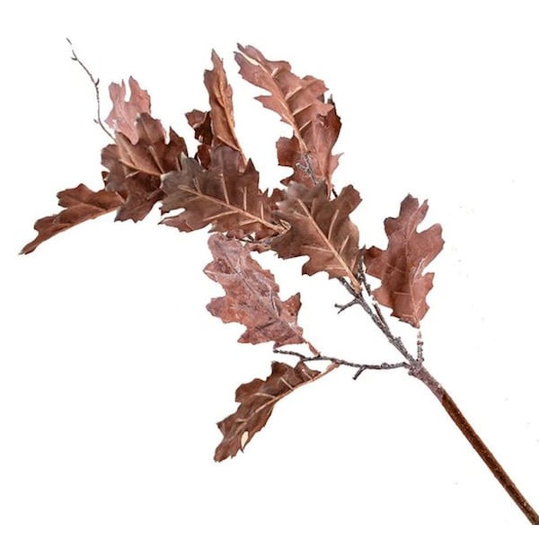One Artificial Faux Withered Autumn Brown w/Purplish Tint Oak Leaf Leaves Stem Branch Realistic 23.5" Tall, Fall Decor, Farmhouse,Decor