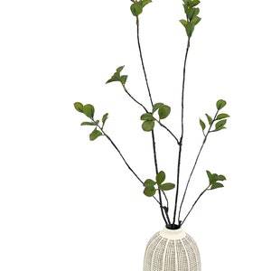 May include: A white ceramic vase with a black and white geometric pattern, filled with a green leafy branch.