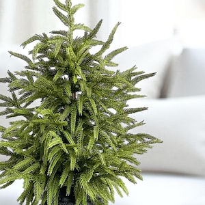 K&ouml;nnte beinhalten: Ein kleiner, k&uuml;nstlicher Weihnachtsbaum in einem dekorativen schwarzen Topf. Der Baum hat leuchtend gr&uuml;ne, nadelf&ouml;rmige Bl&auml;tter und eine konische Form. Der Topf hat eine strukturierte Oberfl&auml;che. Ein dekoratives Element f&uuml;r Innenr&auml;ume.