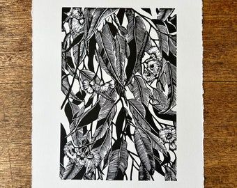 Eucalyptus, original linocut print, hand printed, signed