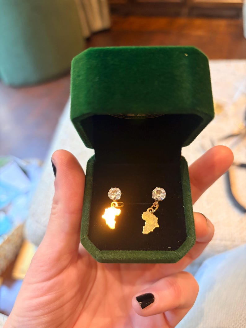 Africa Map Drop Earrings with Crystal Studs | South African-Inspired Jewellery Gift image 5