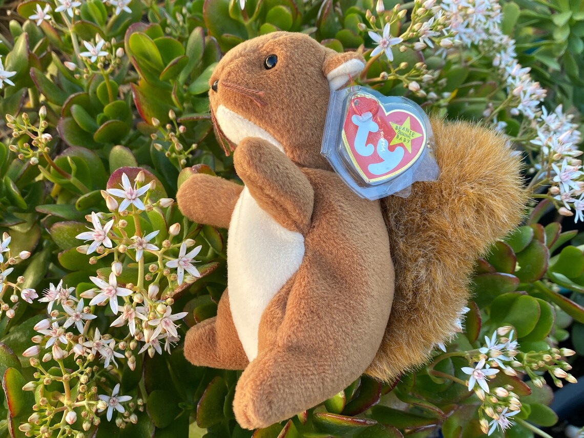 Ty Beanie Babies Nuts the Squirrelcollectible Beanie Etsy