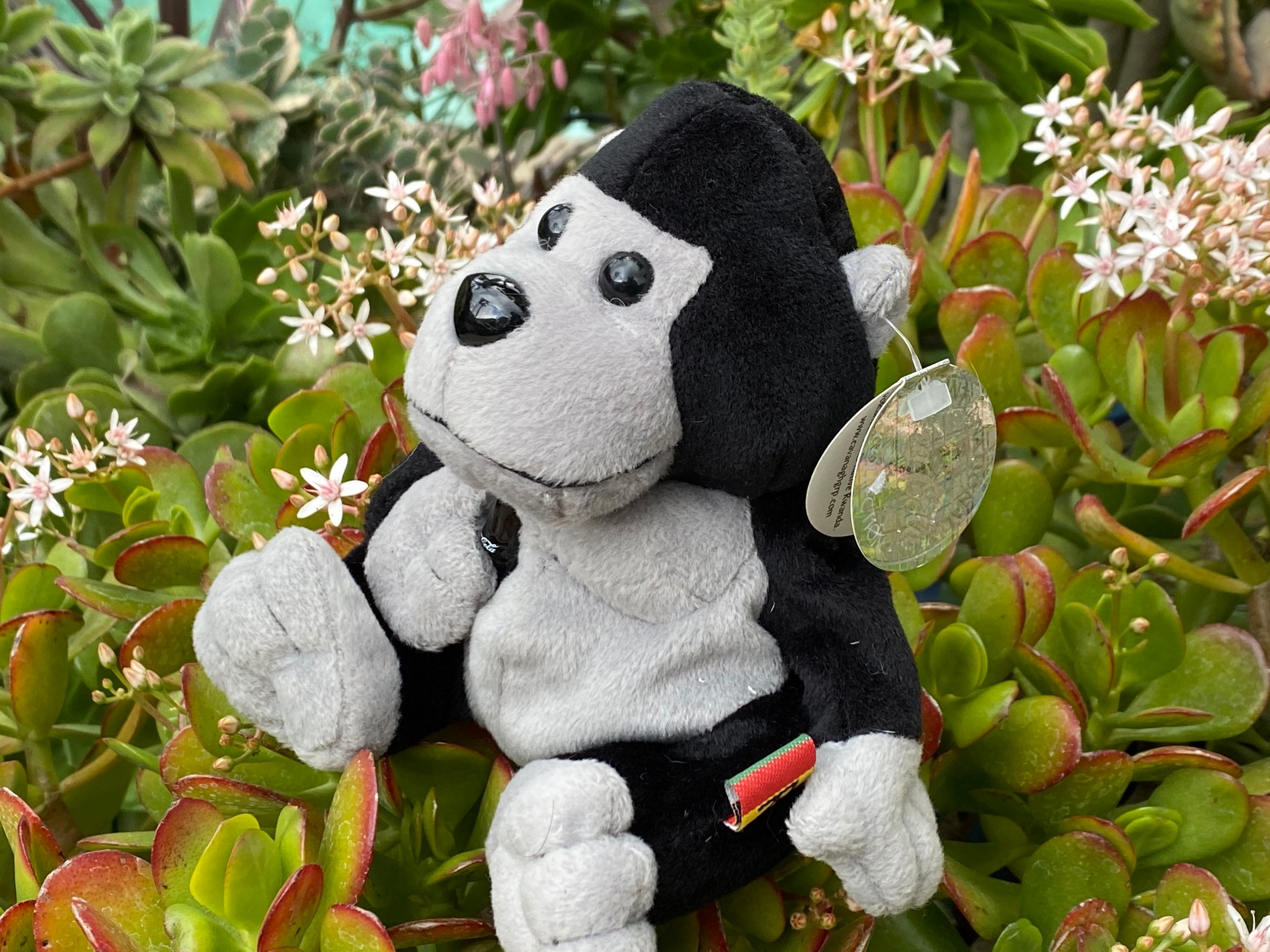 Coca cola gorilla - Etsy 日本