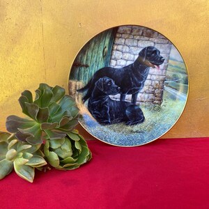 Black Labrador Retriever Dog Plate: Vintage Porcelain Gallery Decor