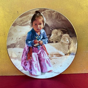 The Hamilton Collection Plate,Dressed Up for the PowWow,Ray Swanson,Rare Plate The Proud Nation Plate Collection,Decorative Plate,Gift Ideas