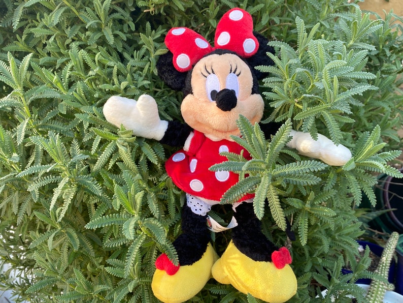 Pu&ograve; includere: Una bambola di peluche di Minnie Mouse con un vestito rosso a pois bianchi, un fiocco abbinato e scarpe gialle. La bambola ha le orecchie nere ed &egrave; circondata da fogliame verde.
