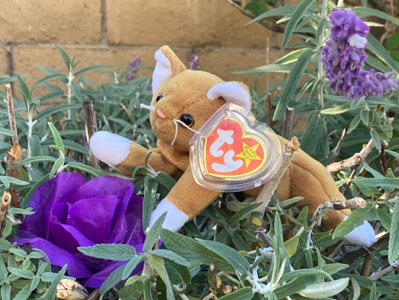 Ty Beanie Babies Nip the Cat Collectible Beanie Babiescute Etsy