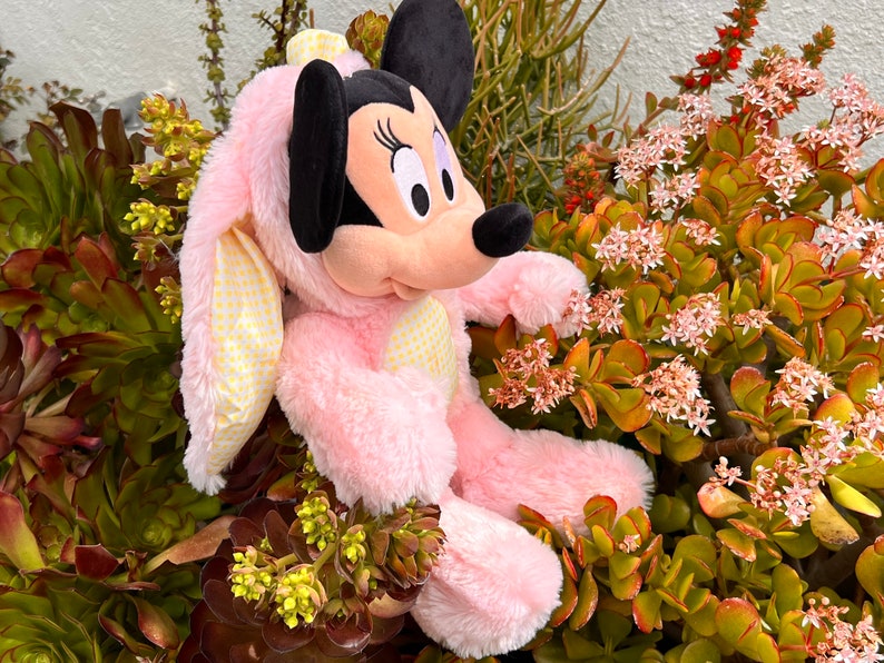 May include: Pink plush bunny costume with white polka dots, featuring a Mickey Mouse character with black ears and a black nose. The costume is sitting on a bed of green succulents.