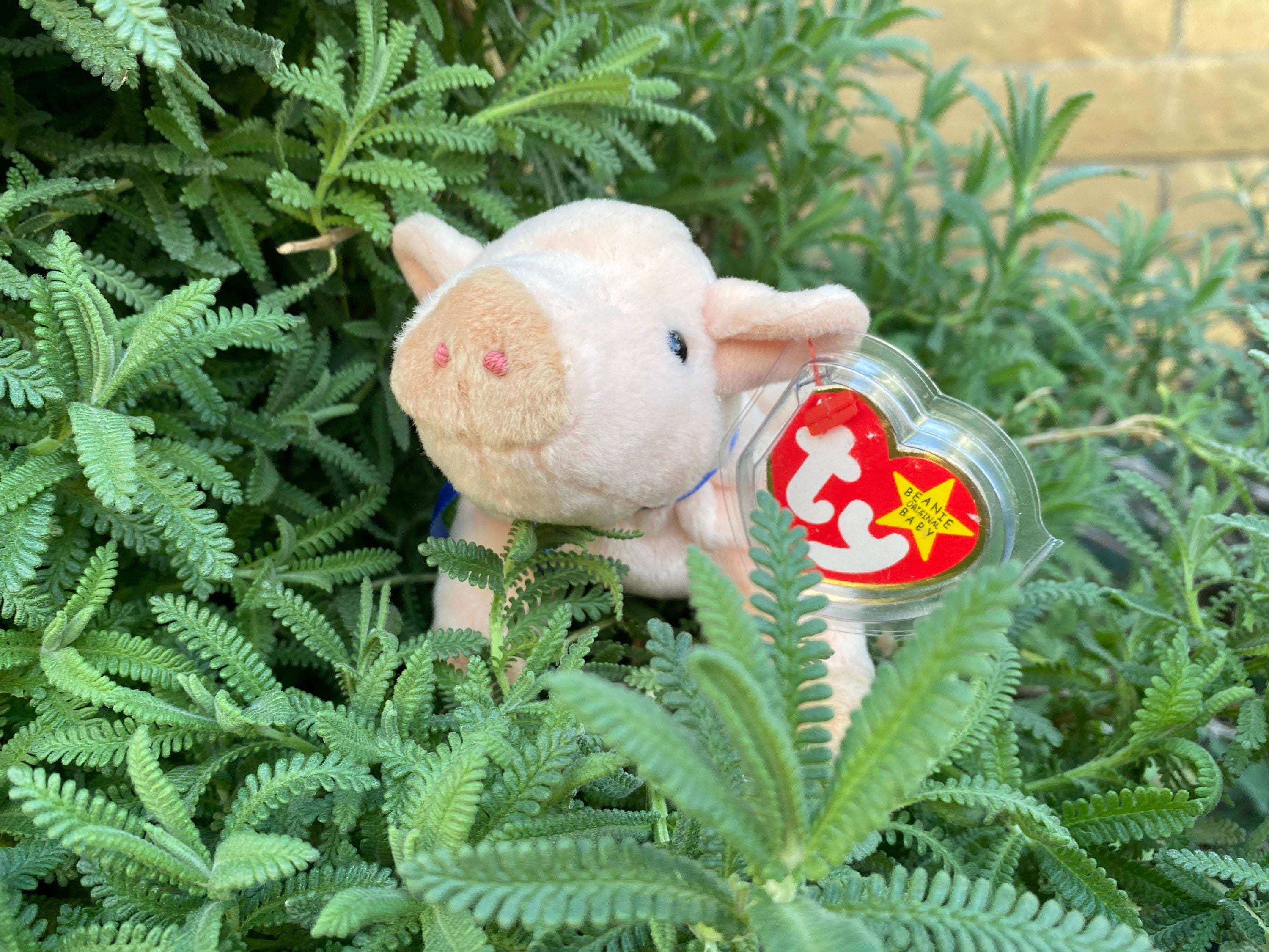 Ty Beanie Babies Knuckles the Pigcollectible Beanie Etsy