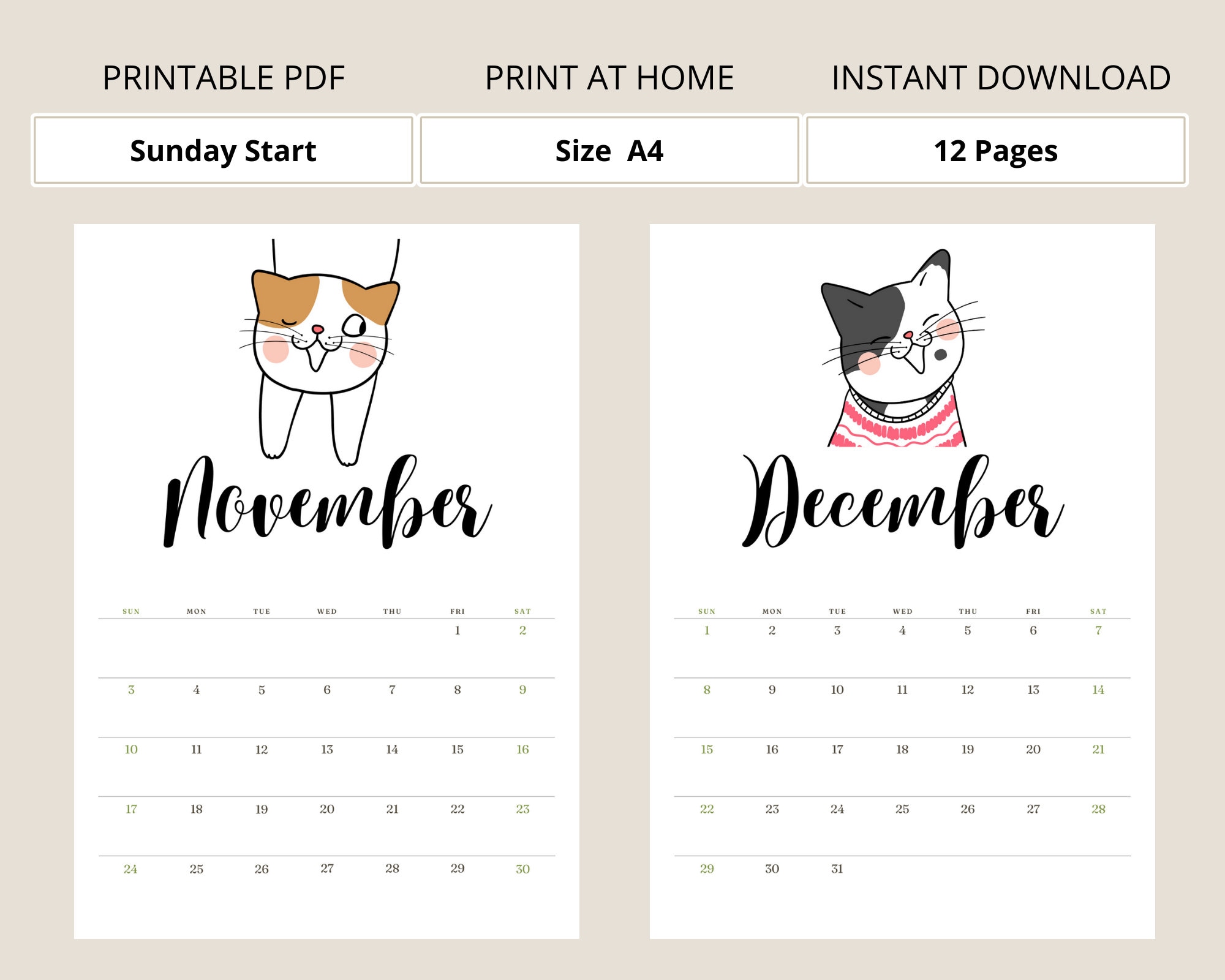 Calendario Mensual 2025 Gatos, Planificador Mensual 2025 Inicio del