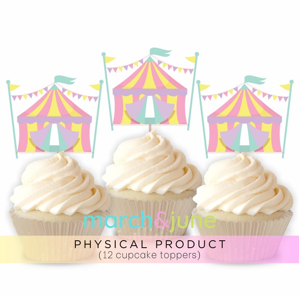 Pink Circus Girl Cupcake Toppers, Set of 12, Birthday Party Theme, Merry Go Round, Greatest Show on Earth, Pastel Carnival