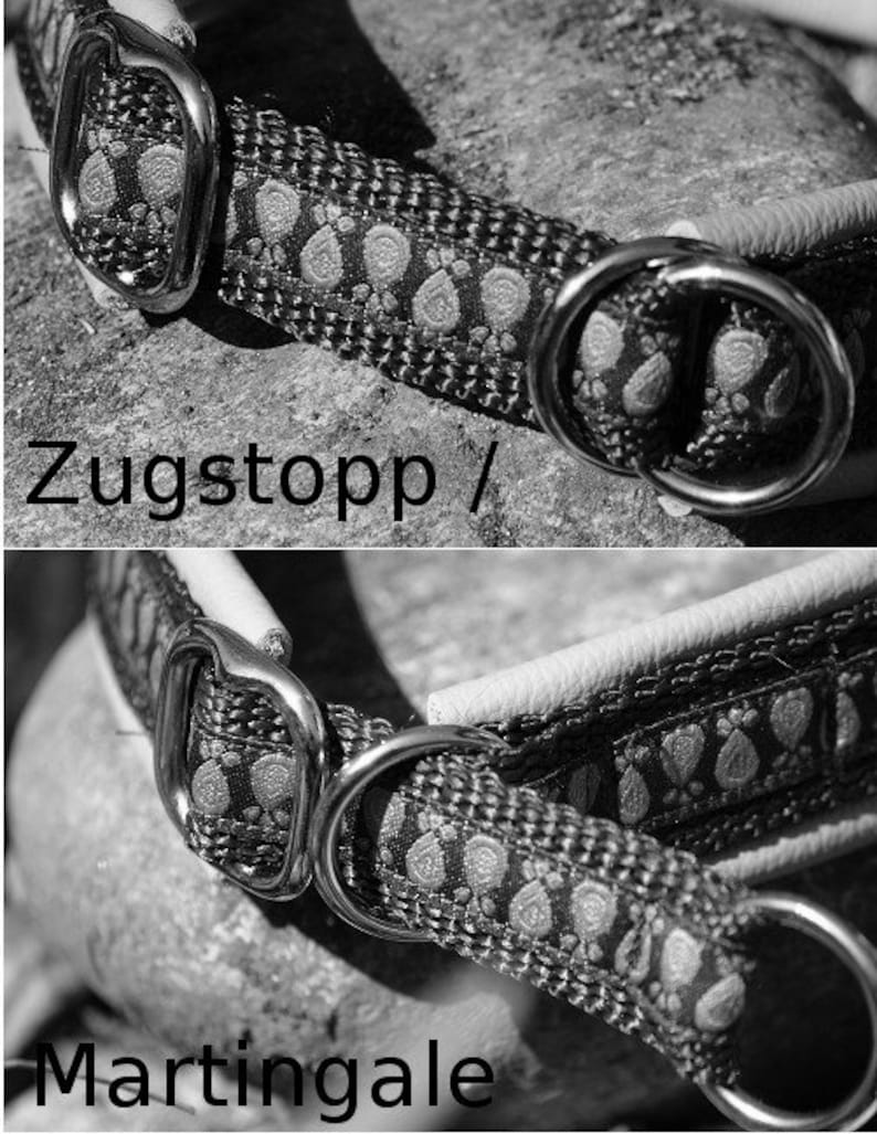 Dog collar padded with leather variations to choose