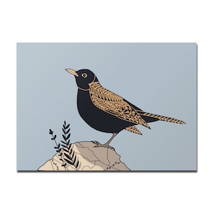 Karte A6 Amsel
