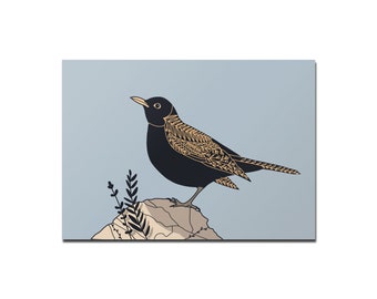 Map A6 Amsel