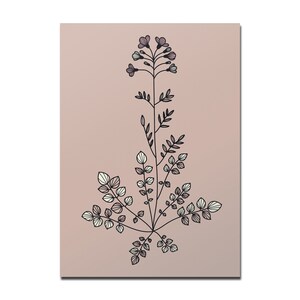 Poster auf Recyclingpapier, Wiesenschaumkraut, DIN A5 und DIN A4