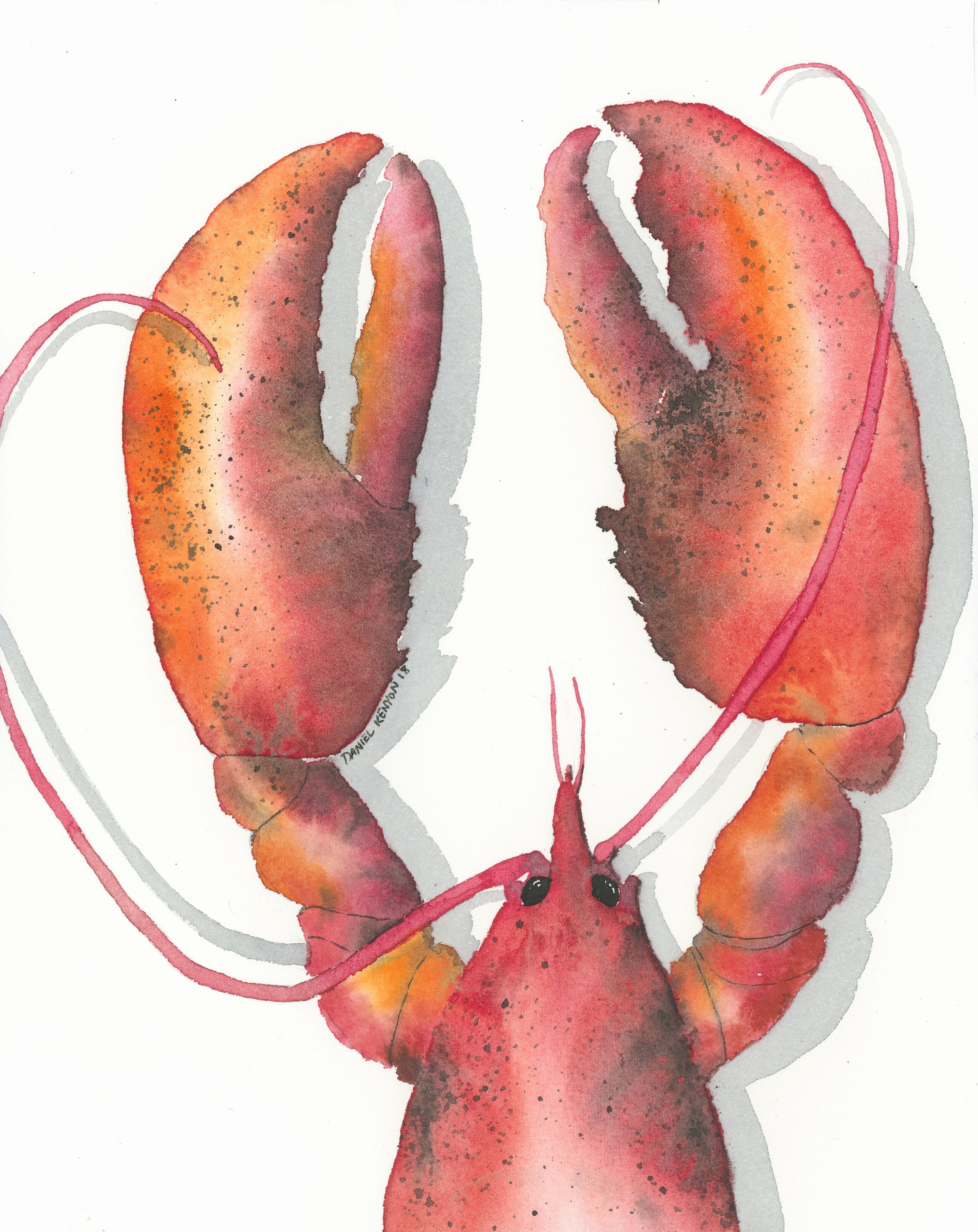 Buy Lobster Print, Lobster Claw, Crustaceancore, Maine Art, Maine Print,  Shell Painting, Lobster Art, Coastal Decor, Maine Painting, Beach Decor  Online in India - Etsy
