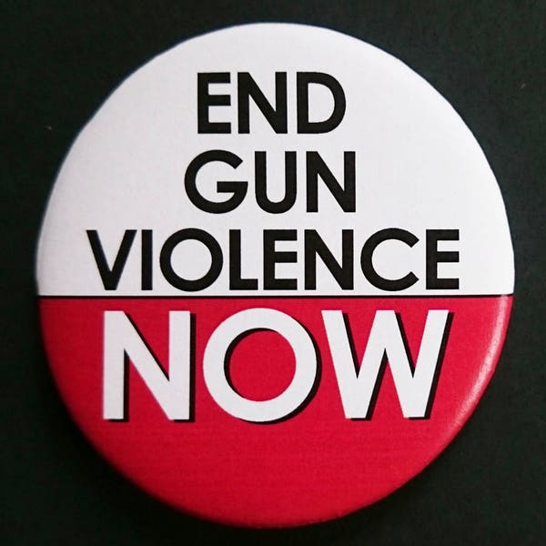 End Gun Violence Maine Gun Control Handguns Automatic Rifles Ban Assault Weapons Democrat Red Flag Laws Legislation Safety Firing Range Vote