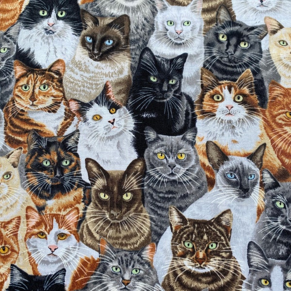 Mixed Breed of Cats Print Fabric, 100% Craft Cotton Kitty Print Fabric for Sewing Clothing, Quilting, Crafting, FQ Half Metre or Metre UK