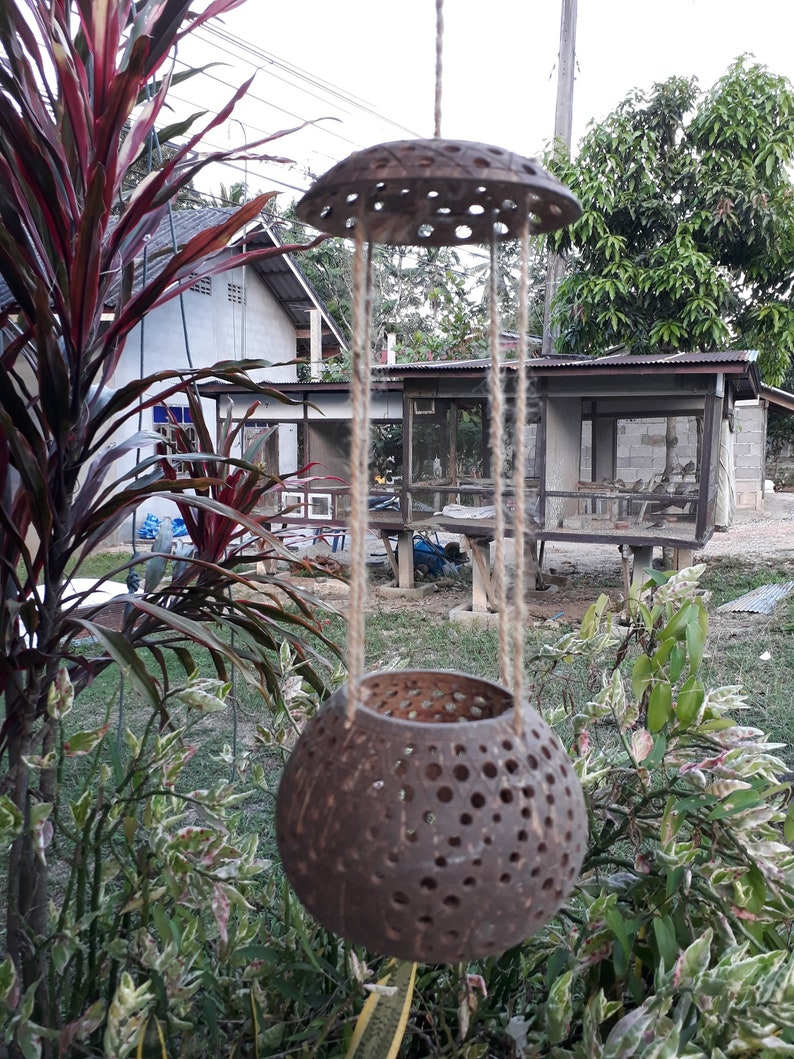 Balkon Wand Pflanzen