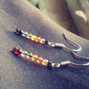 May include: A pair of silver dangle earrings with a rainbow of small, round beads. The beads are red, orange, yellow, green, blue, and purple.