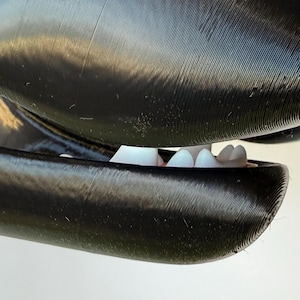 May include: Close-up of a black and white whale model with visible teeth. The model is made of a smooth, textured material.