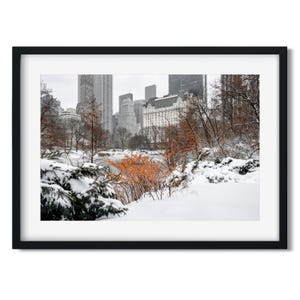Winter in Central Park 2020 - New York Cityscape Photography Color Fine Art Print, New Yorker Wall Art