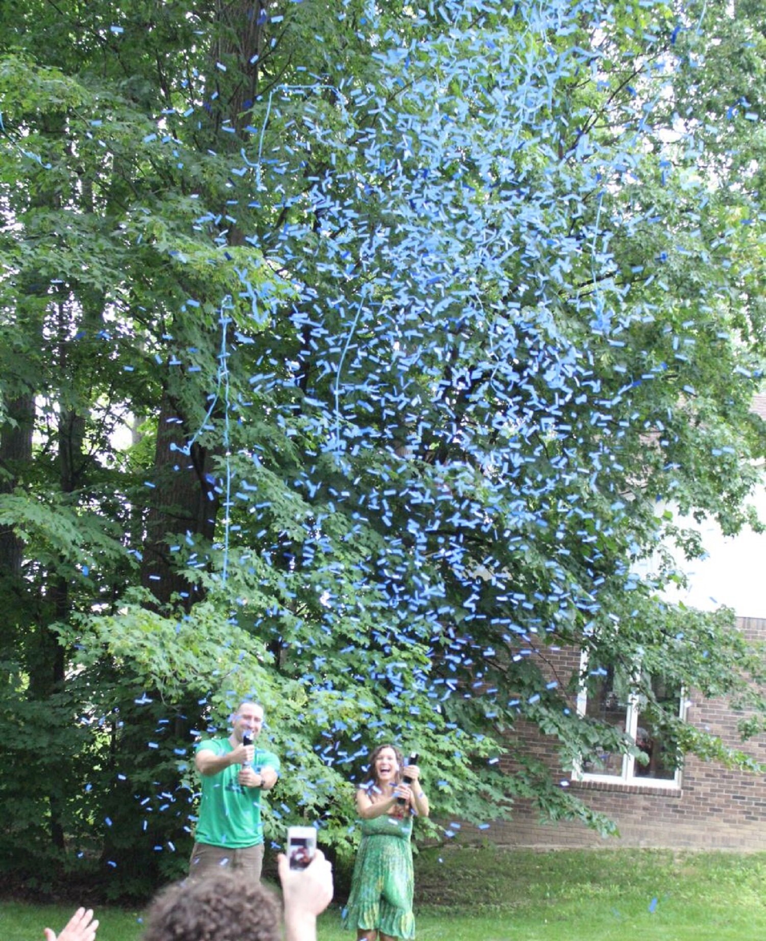 Gender Reveal Cannon / Gender Reveal Confetti Cannon / Gender Etsy