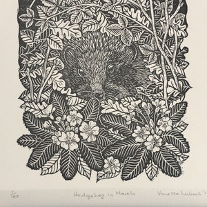 Hedgehog in March, a linocut illustration from The Hedgehog Handbook