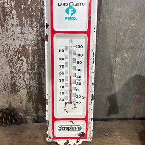 Loon Thermometer