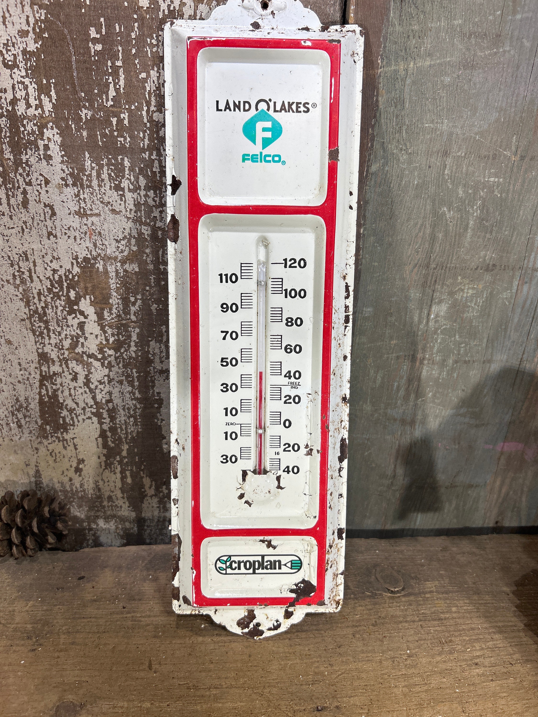 Coop Thermometer 