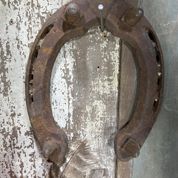 Vintage Horseshoe.. rare. these are for ice.