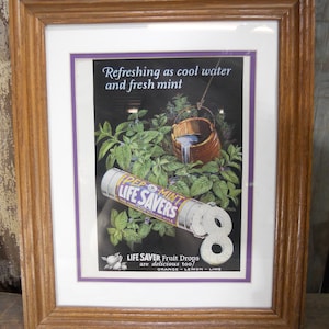 May include: Vintage framed advertisement for Life Savers Pep-Mint candies. The ad features a green mint plant with a bucket of water pouring out, and a roll of Life Savers candies. The text reads "Refreshing as cool water and fresh mint" and "Life Saver Fruit Drops are delicious too! Orange - Lemon - Lime".