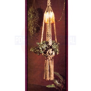May include: A macrame plant hanger with a brown pot and green plant hanging from it. The hanger is made of natural twine and has a tassel at the bottom.