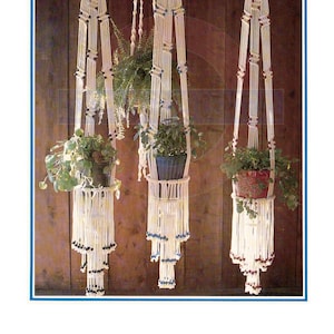 May include: Three macrame plant hangers with blue and white beads hanging from a wooden wall. The hangers are made of white cord and have a decorative pattern. Each hanger holds a potted plant.