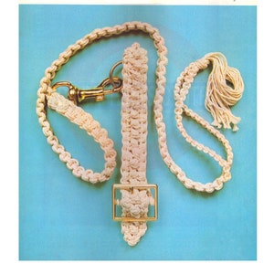 Puede incluir: Un juego de collar y correa para perro de crochet blanco con un cierre de metal dorado. La correa es larga y tiene un borla en el extremo. El collar es más corto y tiene una hebilla.