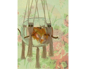 Vintage 70s Macrame Small Owl Hanging Pattern Instant Download PDF 2 pages plus an extra file with general directions