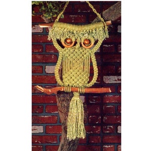 Peut inclure: Une suspension murale en macramé en forme de hibou verte avec des chevilles en bois pour les yeux et une branche en bois pour perchoir. Le hibou est suspendu à une branche d'arbre devant un mur en briques.