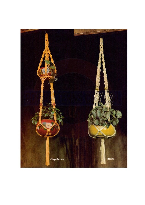 Vintage 70s Oasis Macrame Plant Hanger Pattern Instant Download PDF 2 pages plus additional Knots and Techniques file
