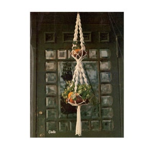 May include: A white macrame plant hanger with two pots and plants hanging from it. The hanger is hanging in front of a green wooden door with a glass panel.